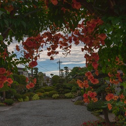dailyPhoto26